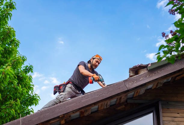 Best Roof Insulation Installation  in Mcadenville, NC