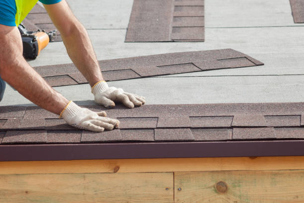 Best Roof Maintenance and Cleaning  in Mcadenville, NC